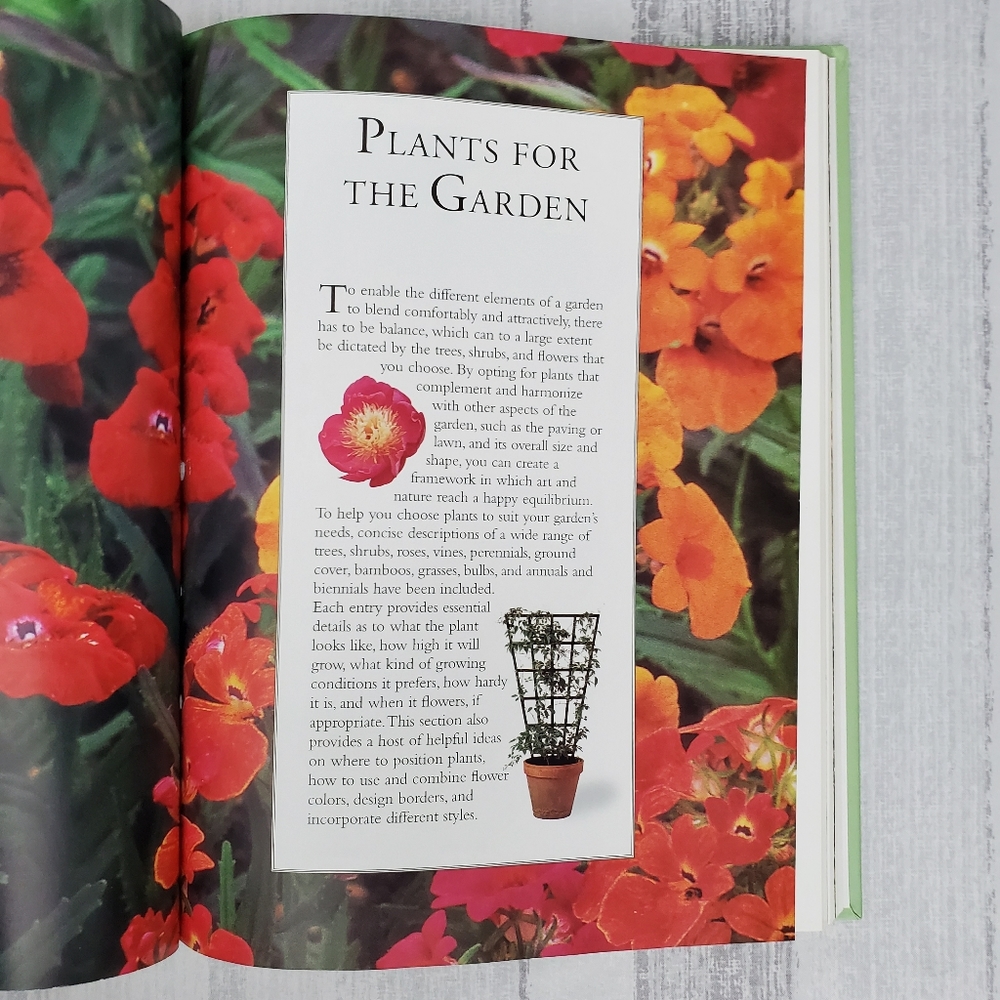 Gardening Basics: How to design ... - Picture 5 of 11